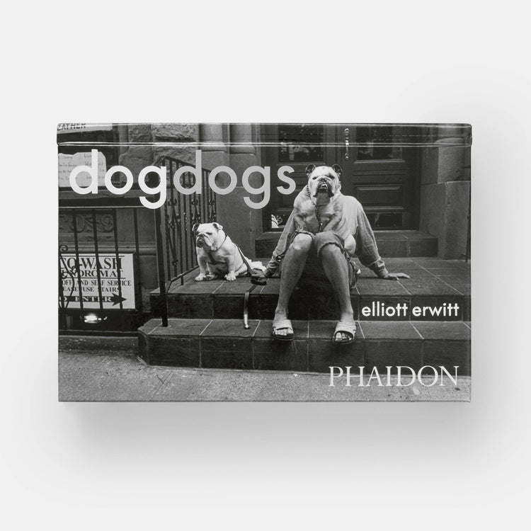 HundHunde - REBEL FIN CO.