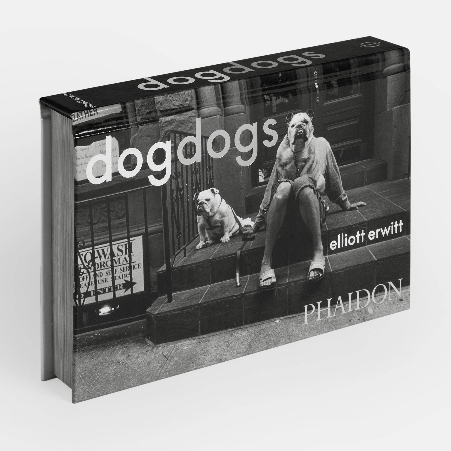 HundHunde - REBEL FIN CO.