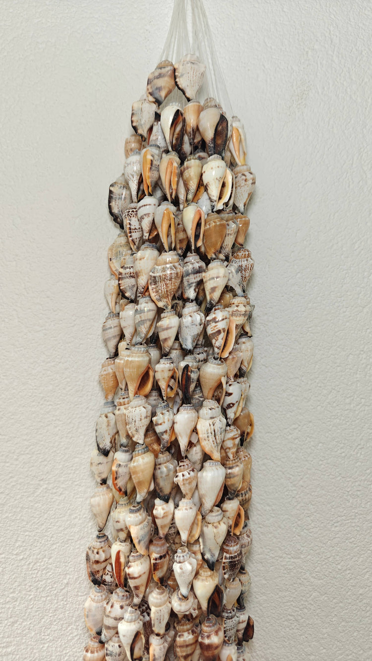 SHELL HANGER